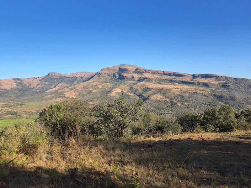 Where English Country Romance Meets the Wild Lowveld - A Rare Schoemanskloof Estate - Photo 5