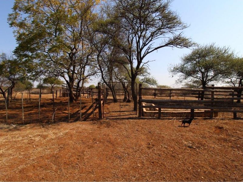 Embrace Tranquil Living Amidst Nature's Beauty at Roodekuil Small Holdings. - Photo 8