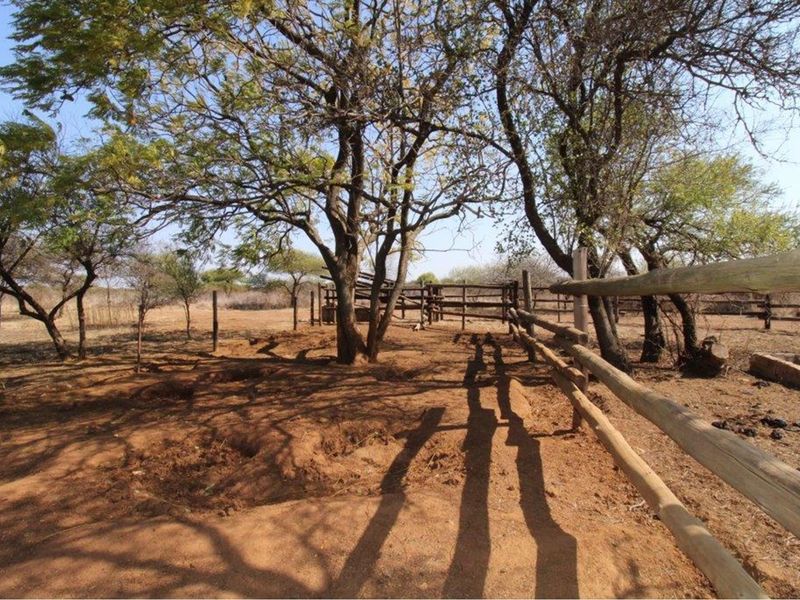 Embrace Tranquil Living Amidst Nature's Beauty at Roodekuil Small Holdings. - Photo 7