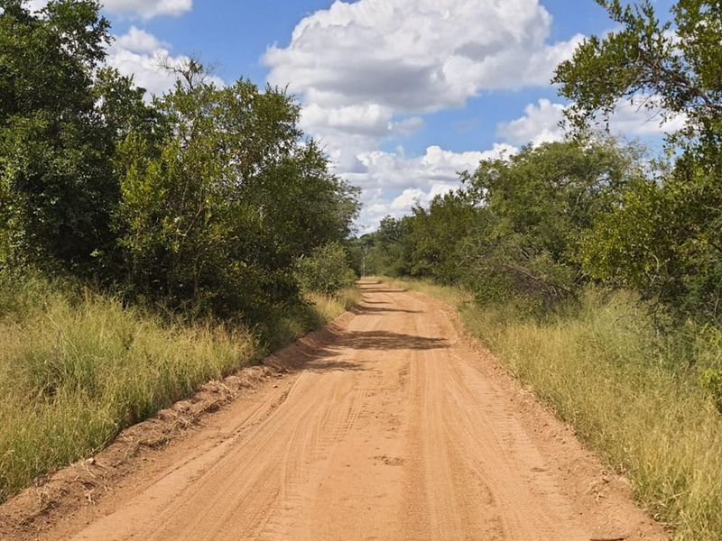 Plot in Moditlo Wildlife Estate on Hoedspruit farm, experience the African Bush as you should - Photo 10