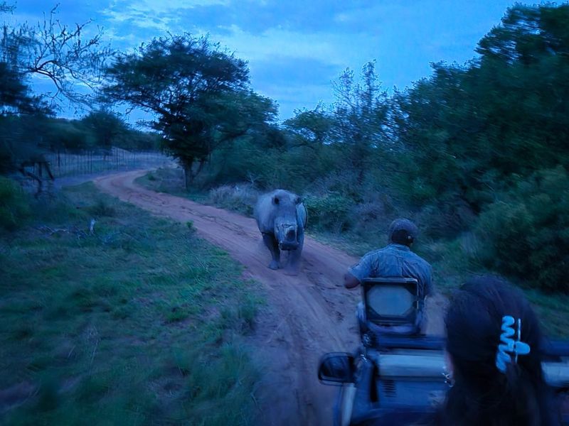 Plot in Moditlo Wildlife Estate on Hoedspruit farm, experience the African Bush as you should - Photo 1