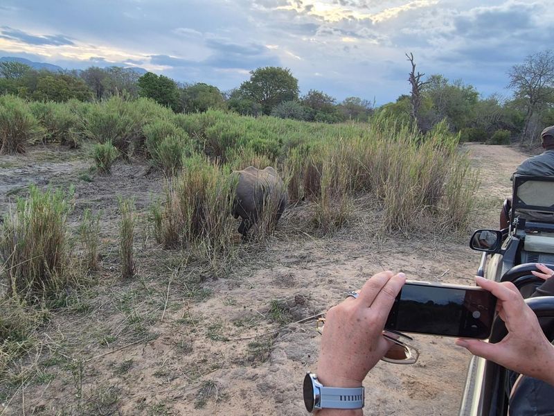 Plot in Moditlo Wildlife Estate on Hoedspruit farm, experience the African Bush as you should - Photo 2
