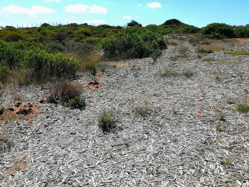 Vacant land in Skulpiesbaai Lifestyle Estate at a excellent price! - Photo 10