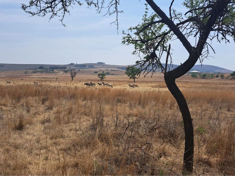 Vacant Land for Sale in Popular Letamo Game Farm situated in Cradle of Humankind - Photo 6