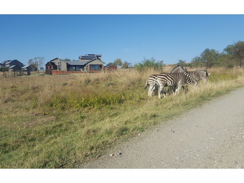 Vacant Land for Sale in Popular Letamo Game Farm situated in Cradle of Humankind - Photo 3