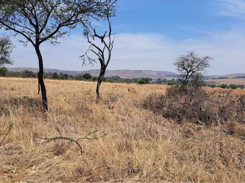 Vacant Land for Sale in Popular Letamo Game Farm situated in Cradle of Humankind - Photo 4