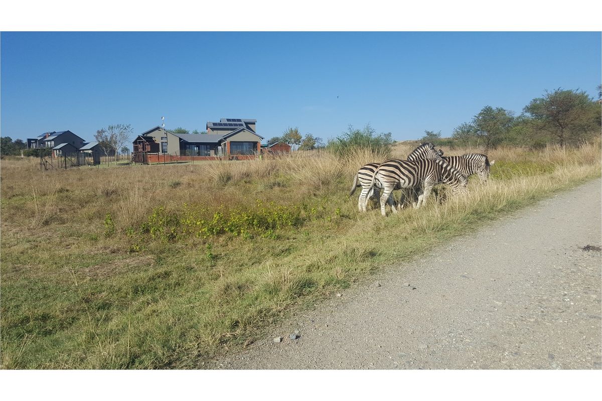 A view of a residential property in a natural estate setting, featuring a modern dwelling with solar panels and surrounding grassland with wildlife.