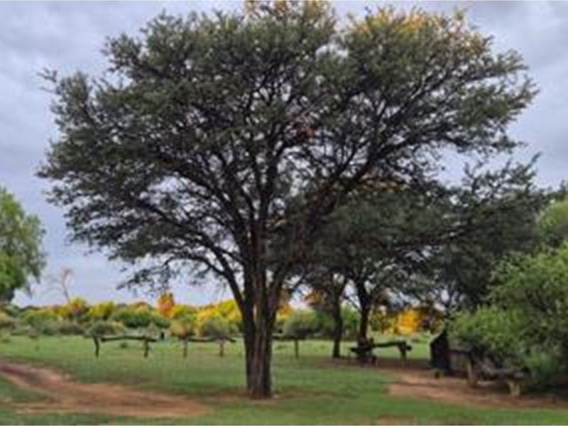 Rural Luxury Game and Livestock Farm with Guest Lodge - Prime Location near Sandveld Nature Reserve - Photo 9