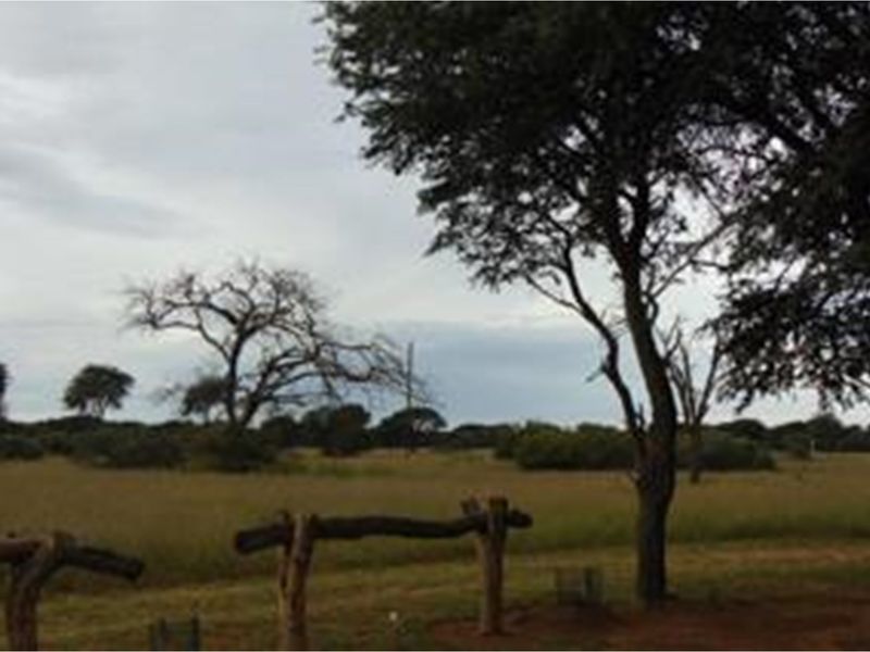Rural Luxury Game and Livestock Farm with Guest Lodge - Prime Location near Sandveld Nature Reserve - Photo 10