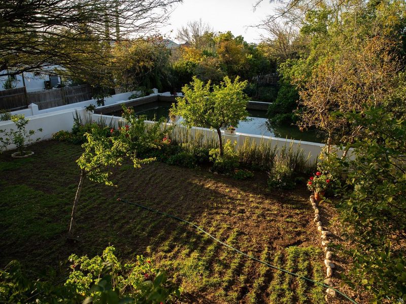 A Rare Lifestyle Investment with Multiple Income Pathways - Photo 2