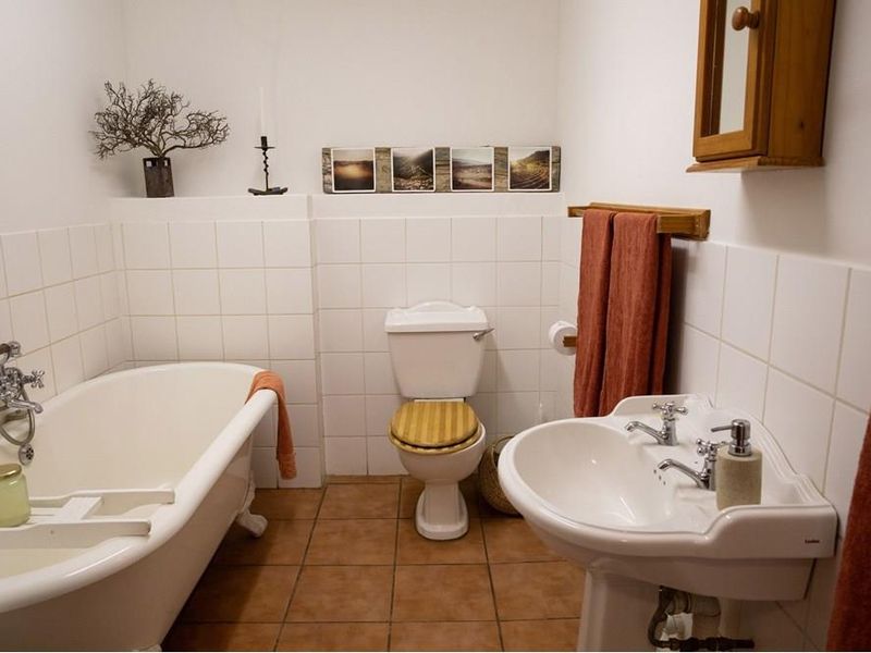 A Rare Lifestyle Investment with Multiple Income Pathways - Photo 5