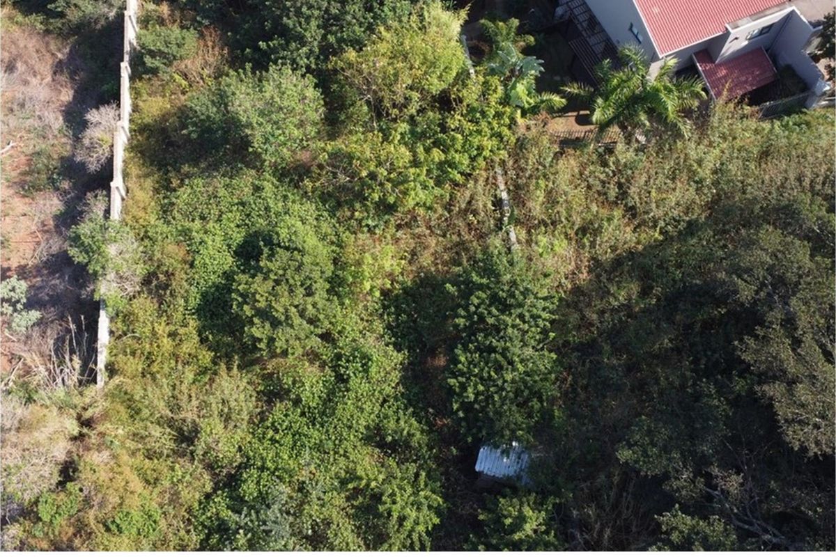 Build your Dream Home-Ballito Vacant Land - Photo 5