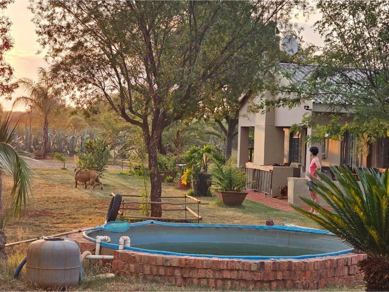 Modern Luxury in a Tranquil Eco Estate - Photo 8