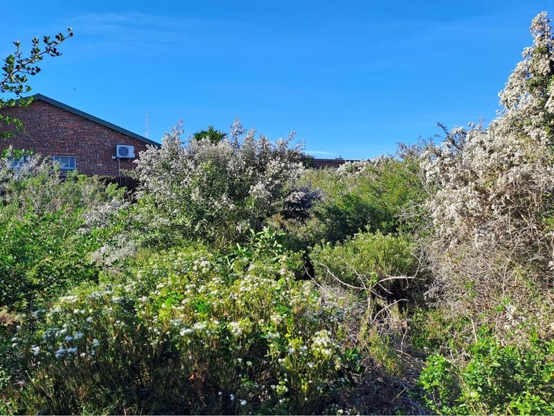 Build Your Dream Home in Aston Bay - Photo 5