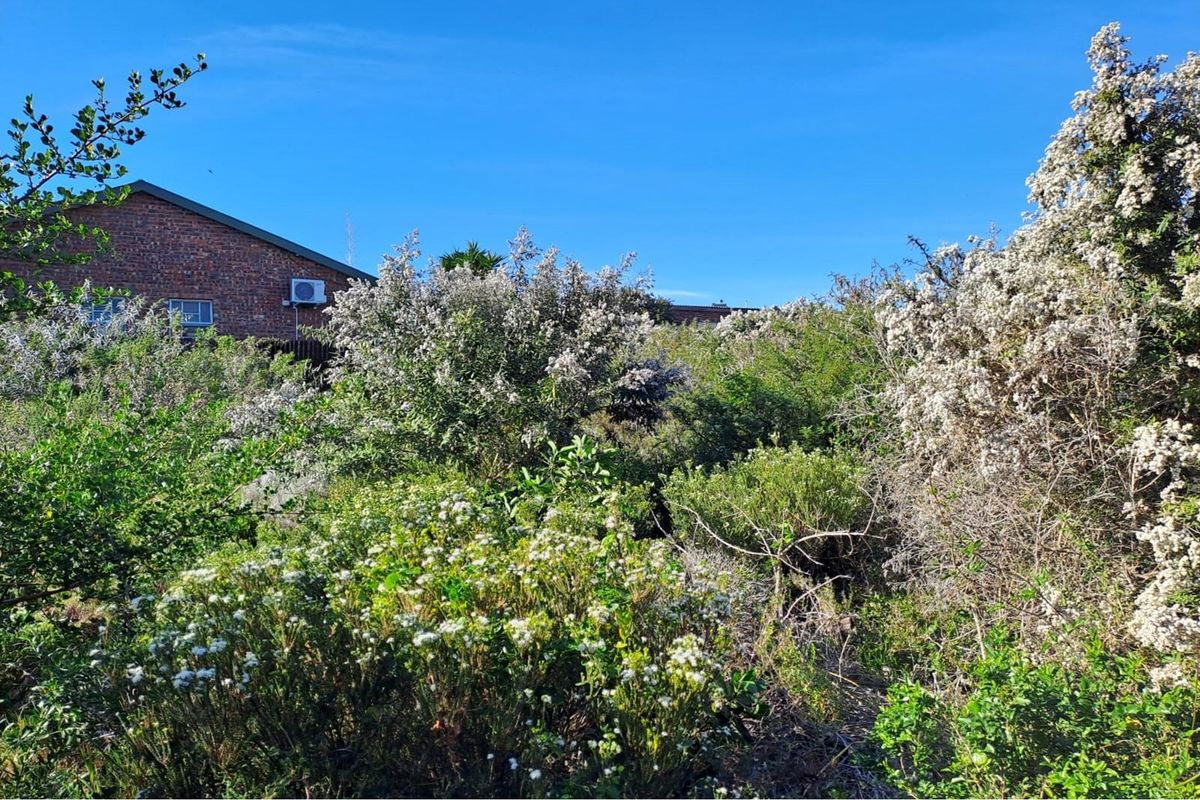 Build Your Dream Home in Aston Bay - Photo 5