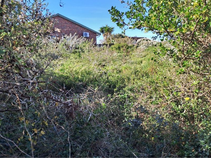 Build Your Dream Home in Aston Bay - Photo 4