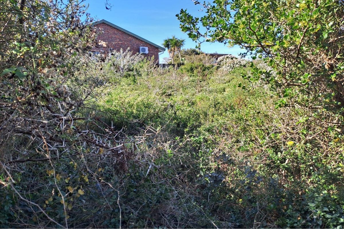 Build Your Dream Home in Aston Bay - Photo 4