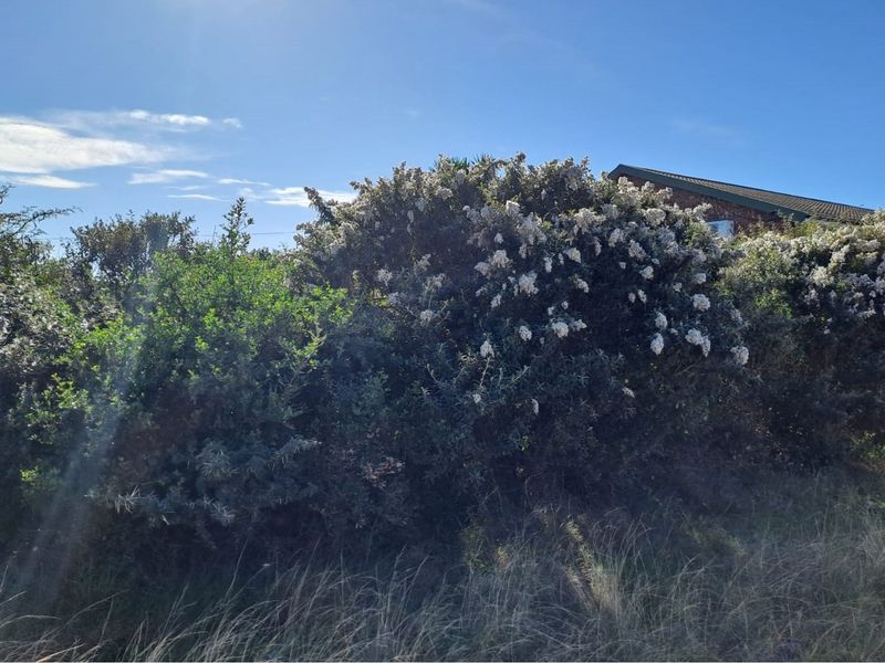 Build Your Dream Home in Aston Bay - Photo 8