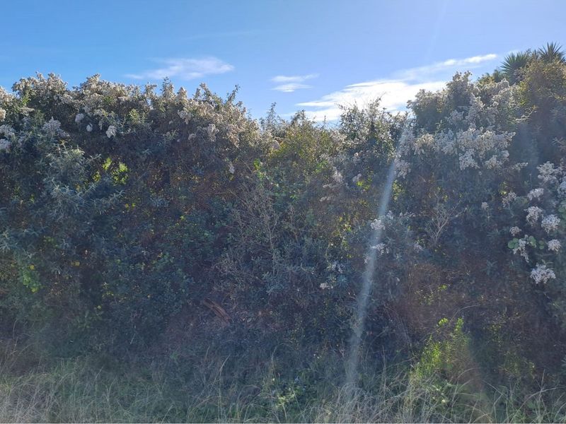 Build Your Dream Home in Aston Bay - Photo 7