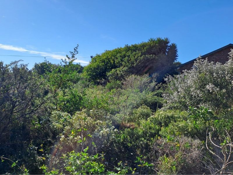 Build Your Dream Home in Aston Bay - Photo 6