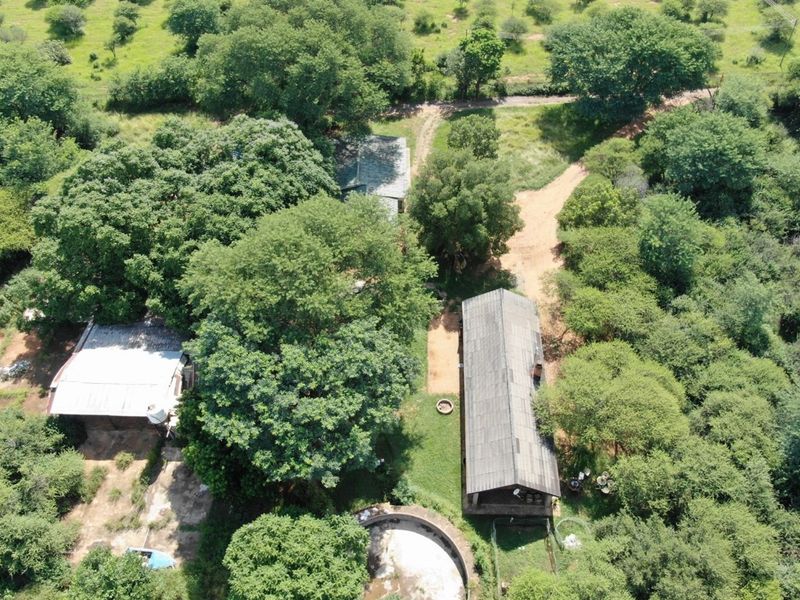 Cashflow positive smallholding with operating businesses and accommodation - Photo 4