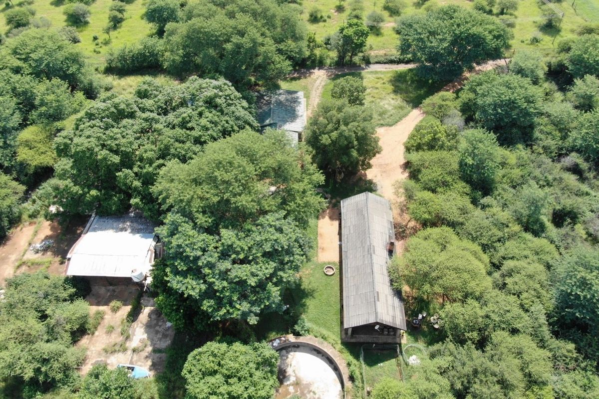 Cashflow positive smallholding with operating businesses and accommodation - Photo 4