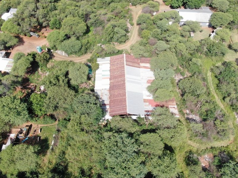 Cashflow positive smallholding with operating businesses and accommodation - Photo 5