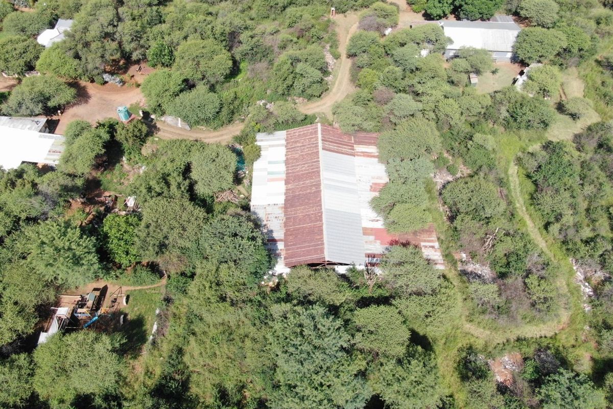 Cashflow positive smallholding with operating businesses and accommodation - Photo 5