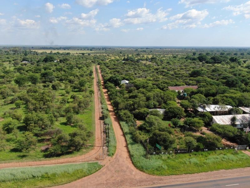 Cashflow positive smallholding with operating businesses and accommodation - Photo 10