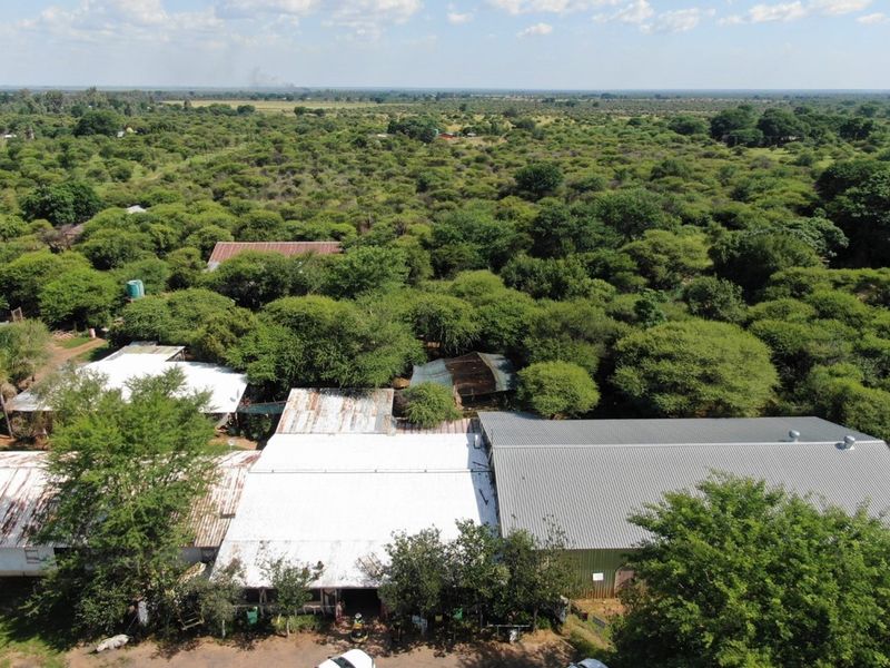 Cashflow positive smallholding with operating businesses and accommodation - Photo 2