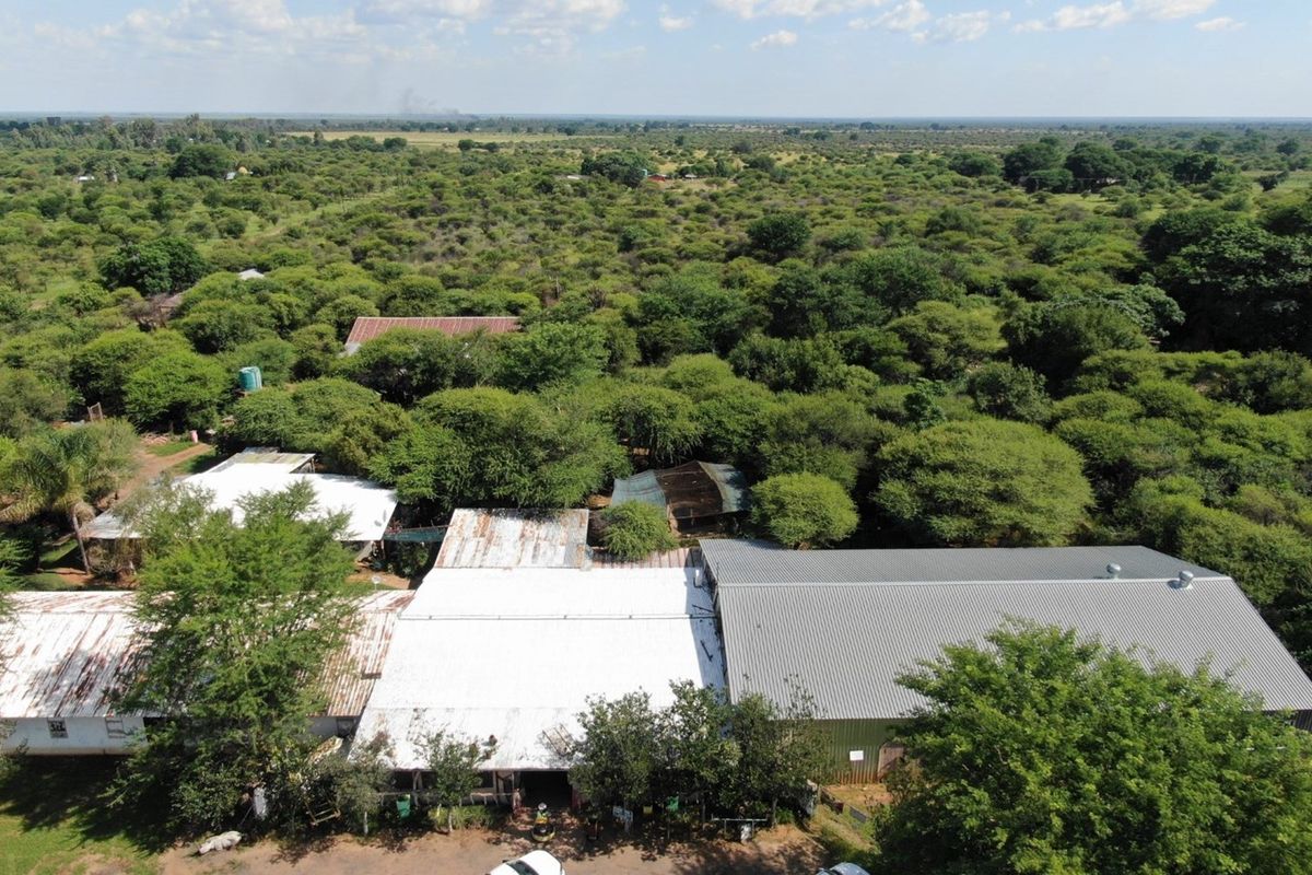 Cashflow positive smallholding with operating businesses and accommodation - Photo 2