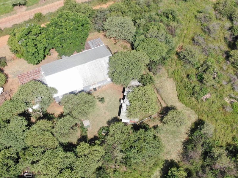 Cashflow positive smallholding with operating businesses and accommodation - Photo 6