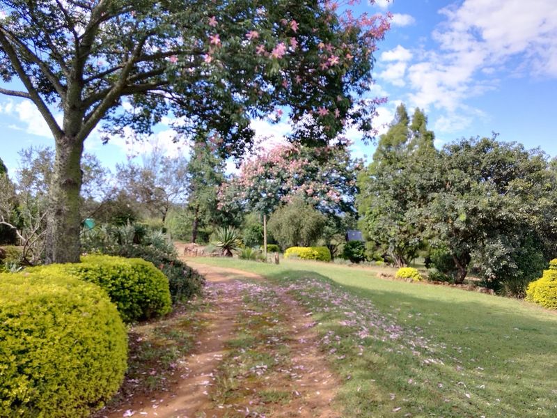 SMALLHOLDING FOR SALE IN SABIE - Photo 1