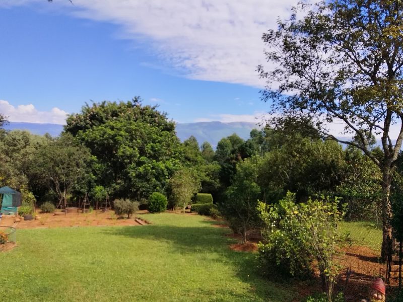 SMALLHOLDING FOR SALE IN SABIE - Photo 3