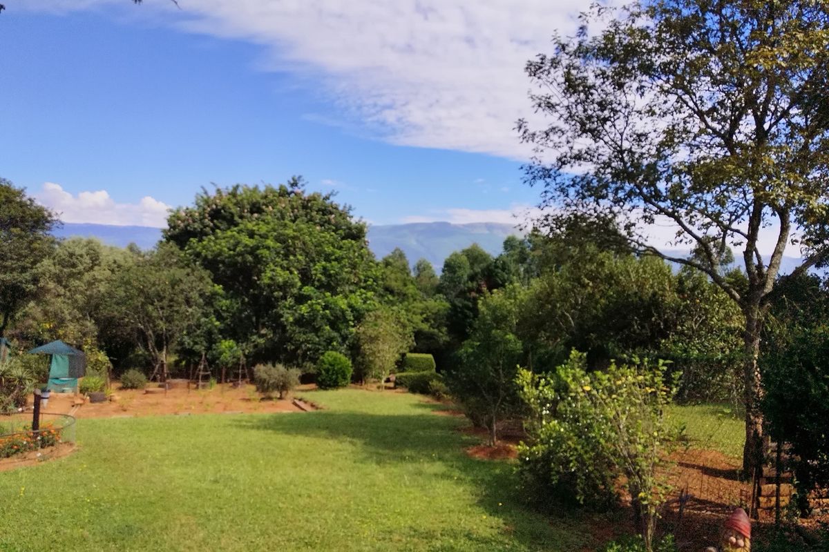 SMALLHOLDING FOR SALE IN SABIE - Photo 3