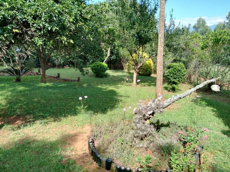 SMALLHOLDING FOR SALE IN SABIE - Photo 6