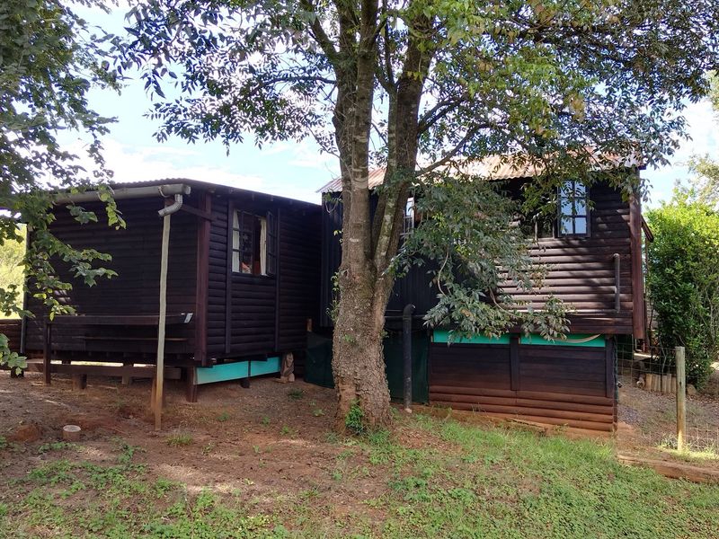 SMALLHOLDING FOR SALE IN SABIE - Photo 4