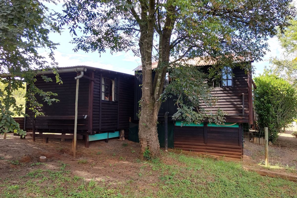 SMALLHOLDING FOR SALE IN SABIE - Photo 4