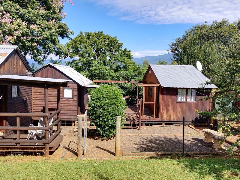 SMALLHOLDING FOR SALE IN SABIE - Photo 10
