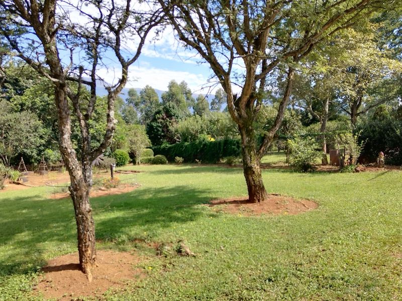SMALLHOLDING FOR SALE IN SABIE - Photo 9