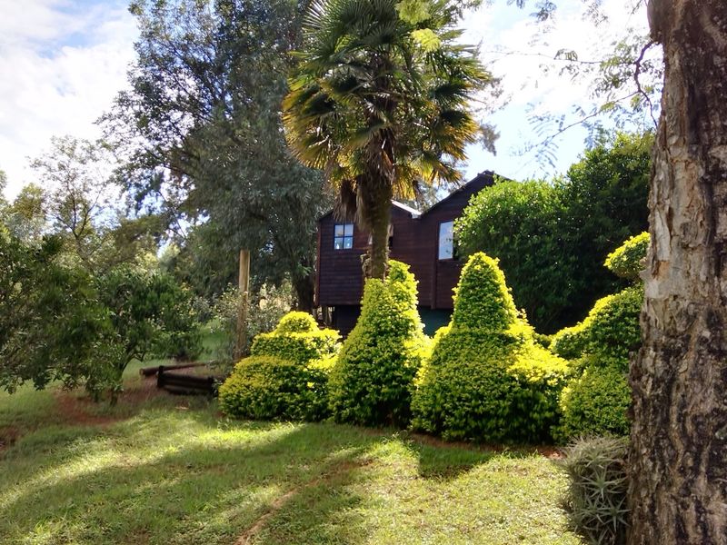 SMALLHOLDING FOR SALE IN SABIE - Photo 2