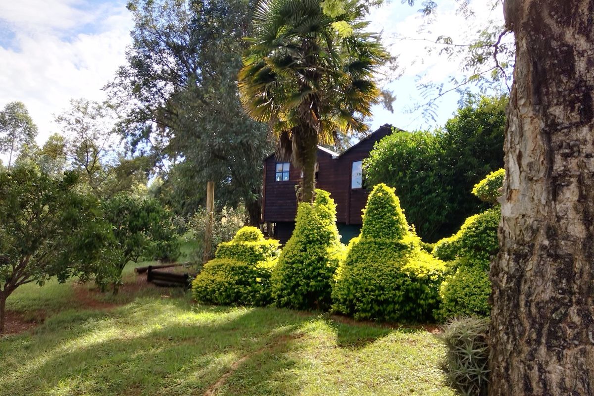 SMALLHOLDING FOR SALE IN SABIE - Photo 2