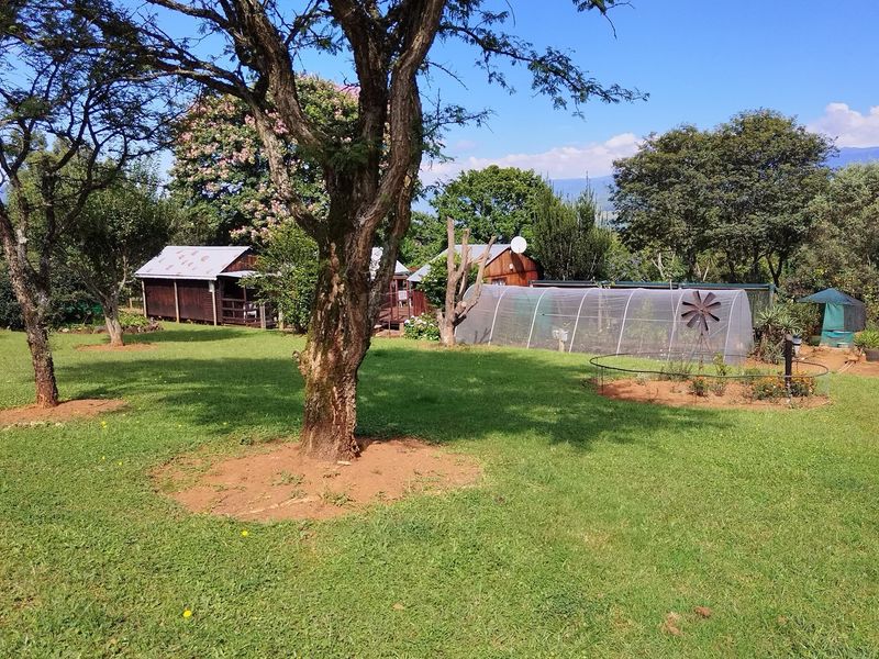 SMALLHOLDING FOR SALE IN SABIE - Photo 5
