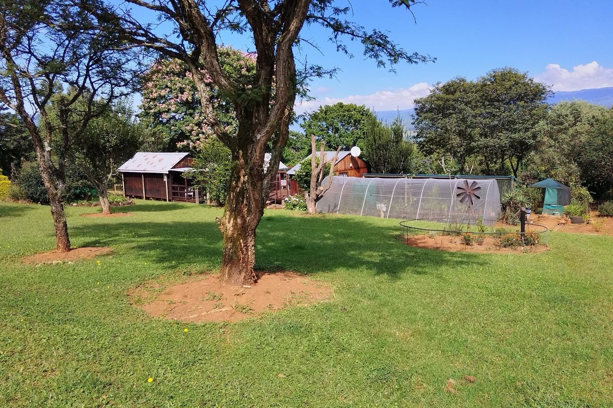 SMALLHOLDING FOR SALE IN SABIE - Photo 5