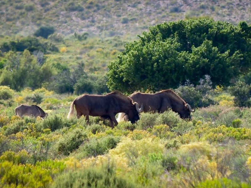 Exclusive lifestyle in your own share of nature and wildlife - Photo 4