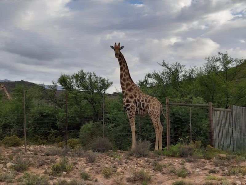 Exclusive lifestyle in your own share of nature and wildlife - Photo 7