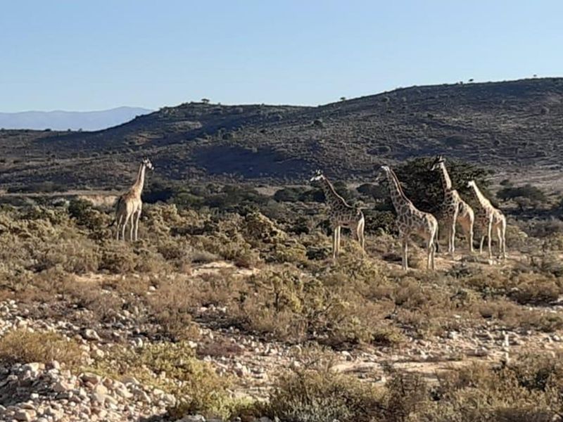 Exclusive lifestyle in your own share of nature and wildlife - Photo 8