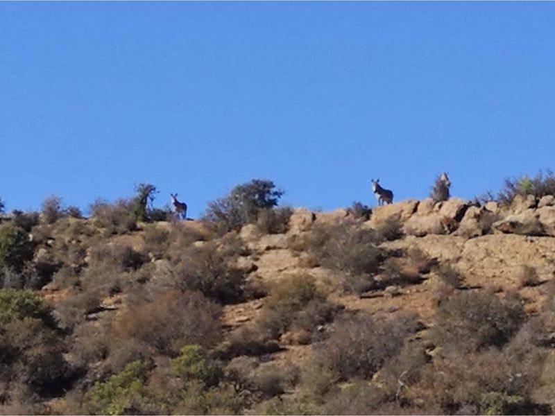 Exclusive lifestyle in your own share of nature and wildlife - Photo 9