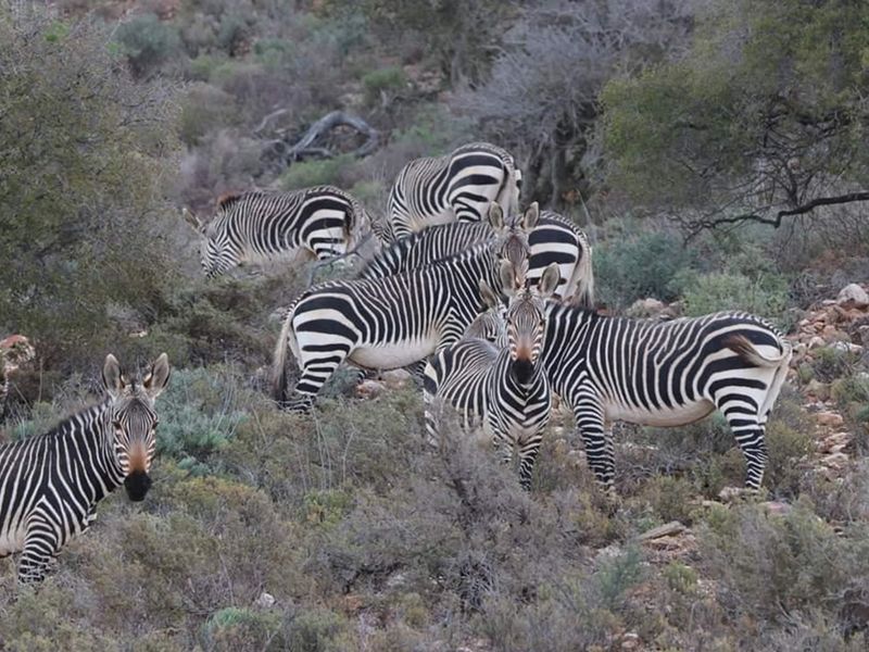 Exclusive lifestyle in your own share of nature and wildlife - Photo 3