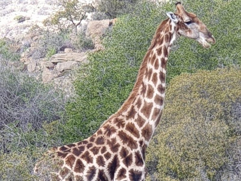 Exclusive lifestyle in your own share of nature and wildlife - Photo 10